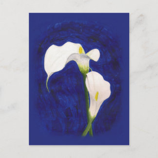 calla lilies post card