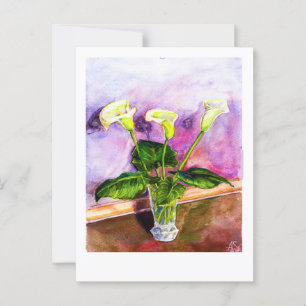 Calla Lilies  Postcard