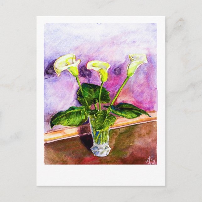 Calla Lilies  Postcard (Front)