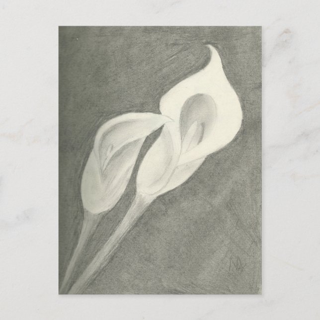 Calla Lilies Postcard (Front)