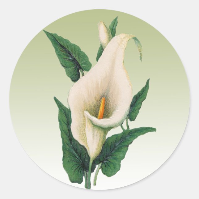 Calla Lilies Sticker (Front)
