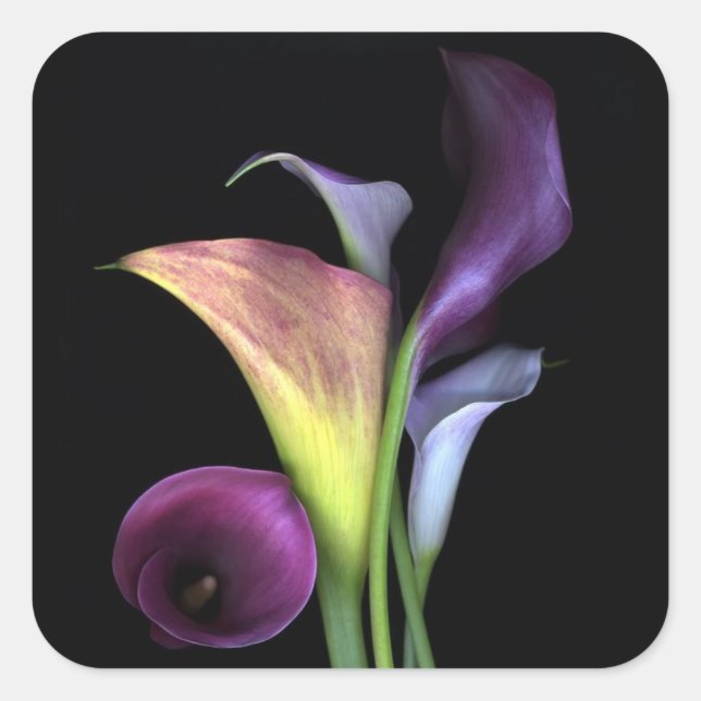 Calla Lilies Stickers (Front)