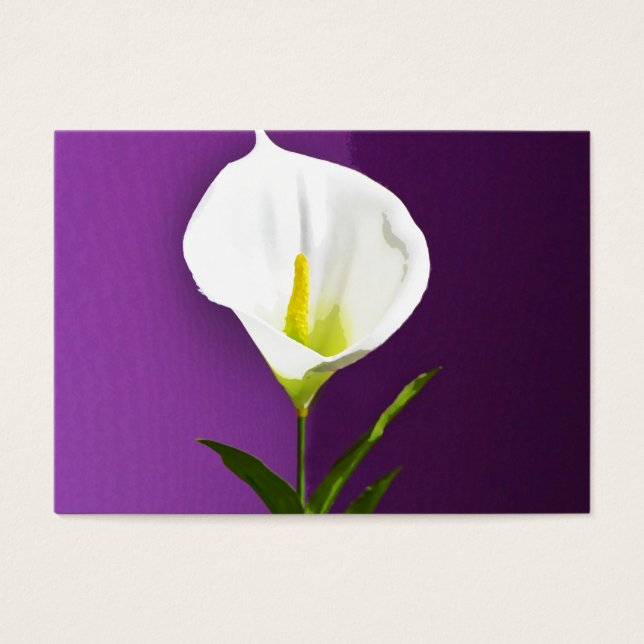 Calla Lilly (Front)