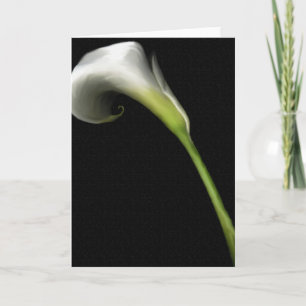 Calla Lilly Greeting Cards