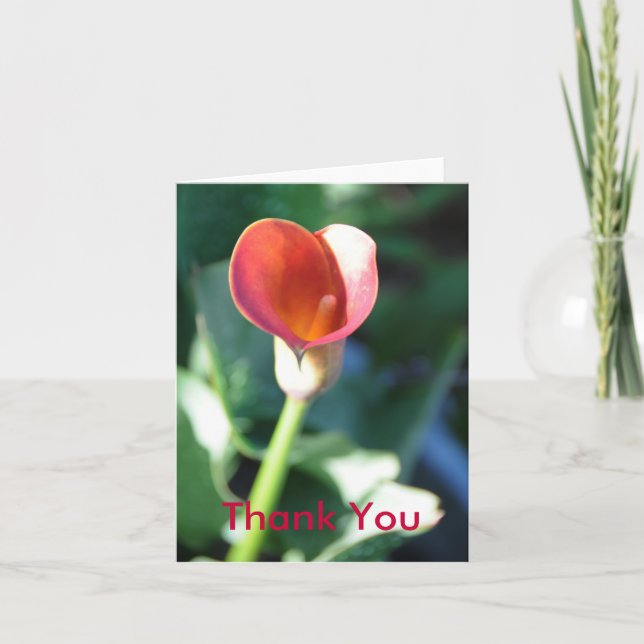 Calla Lilly, Thank You Card (Front)