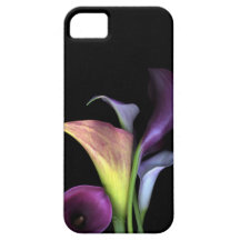 Calla Lilly's