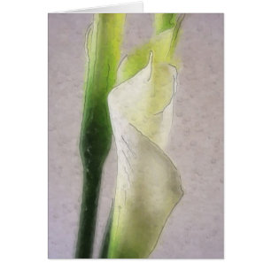 Calla Lily 1 Watercolor