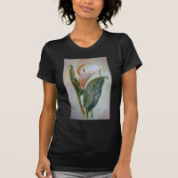 Calla Lily Beautiful Botanical Art