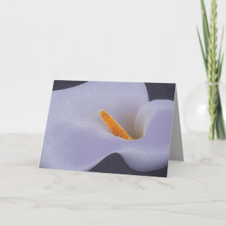 Calla Lily Blank Greeting Cards