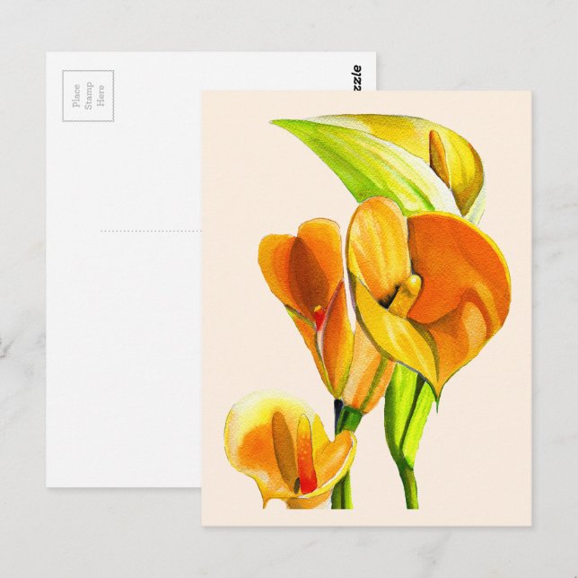 Calla lily blossom watercolor floral postcard (Front/Back)