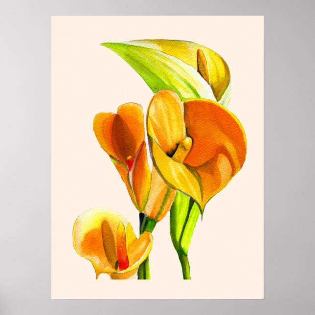 Calla lily blossom watercolor floral poster (Front)