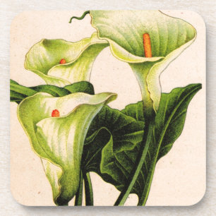 calla lily calla lilies coaster