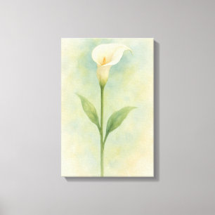 Calla Lily Canvas Print