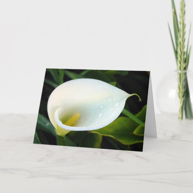 Calla Lily Card (Front)