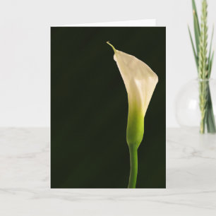 Calla lily card
