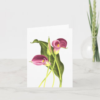Calla Lily Card