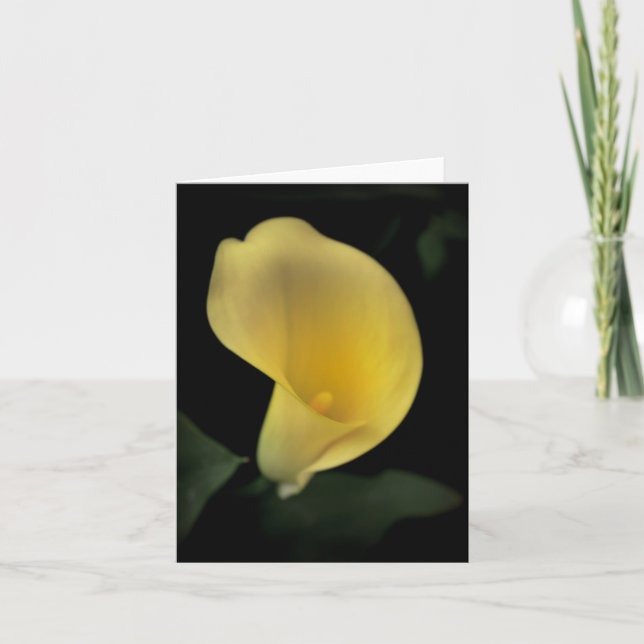 Calla Lily Card (Front)