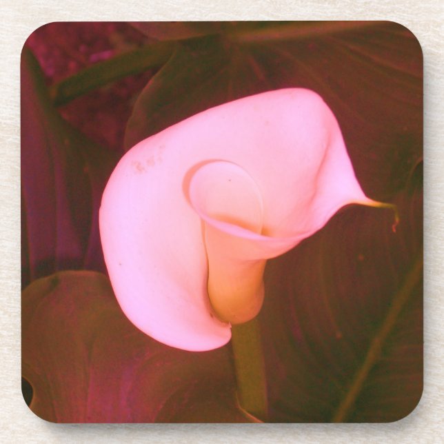 Calla Lily Coaster (Front)