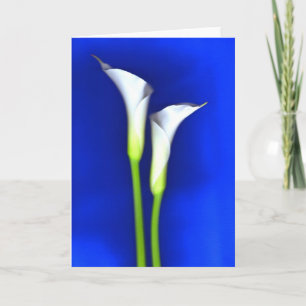 Calla Lily Greeting Card