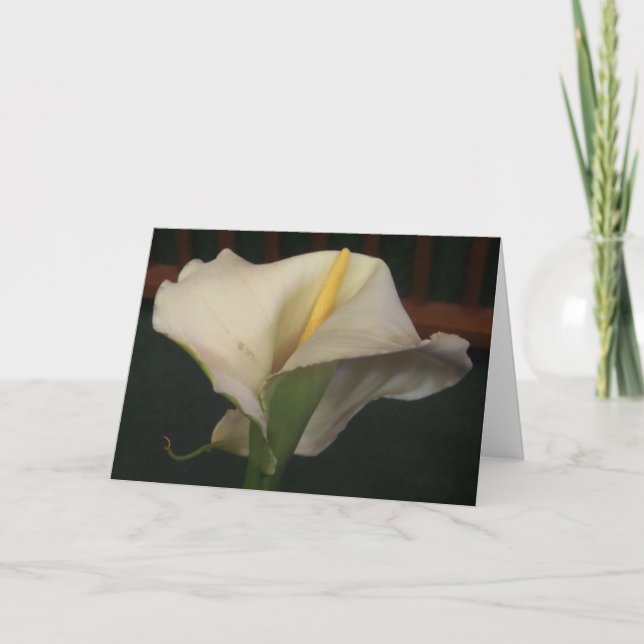 Calla Lily Greeting Card (Front)
