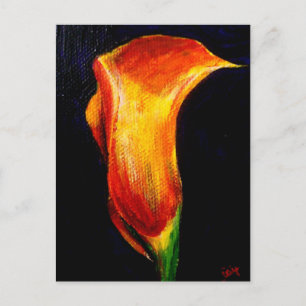 Calla Lily III Postcards