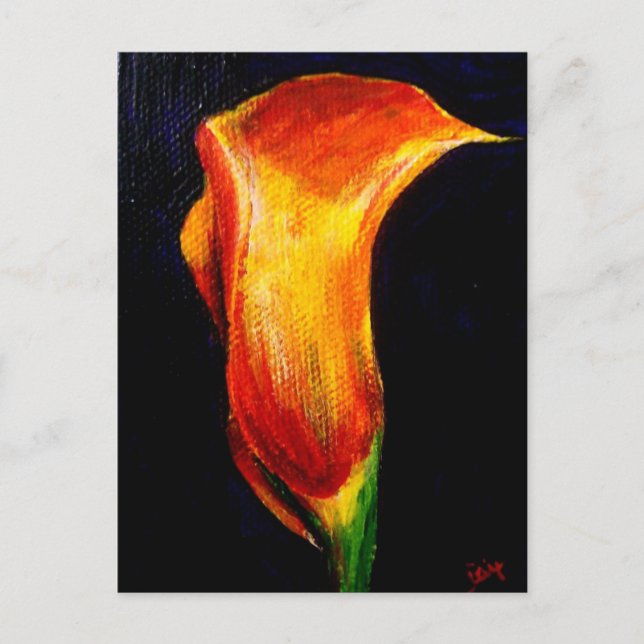 Calla Lily III Postcards (Front)