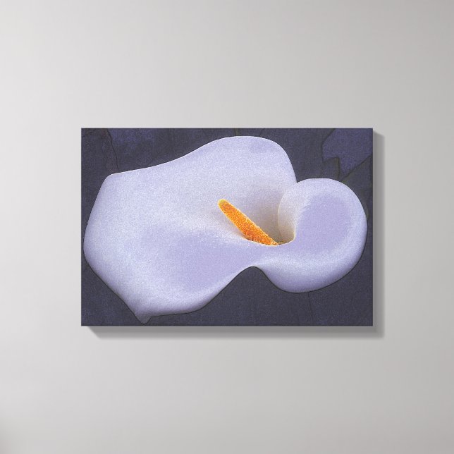 Calla Lily Illustration Canvas Wall Decor (Front)
