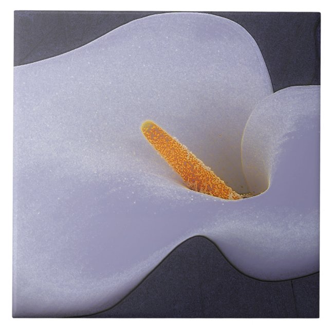 Calla Lily Illustration Collectable Ceramic Tiles (Front)