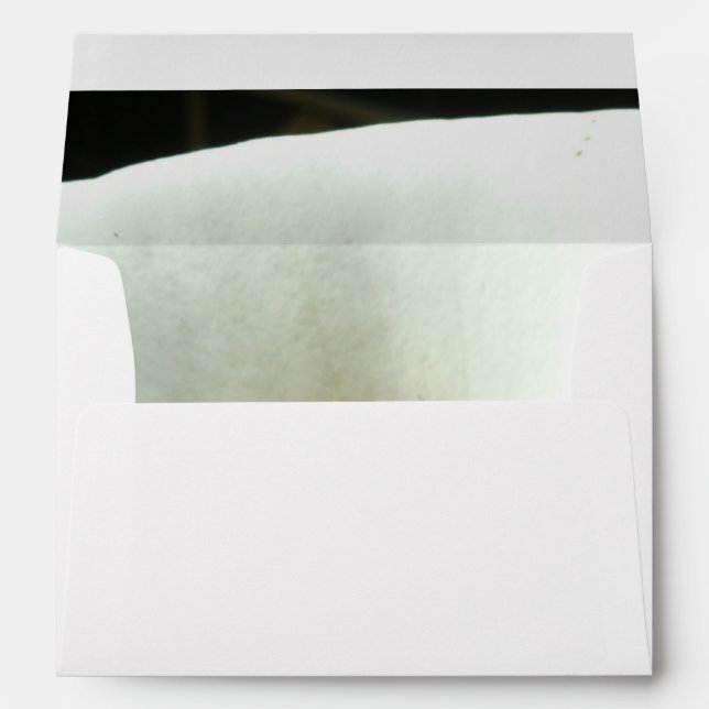 Calla Lily in Black Envelopes (Back (Bottom))