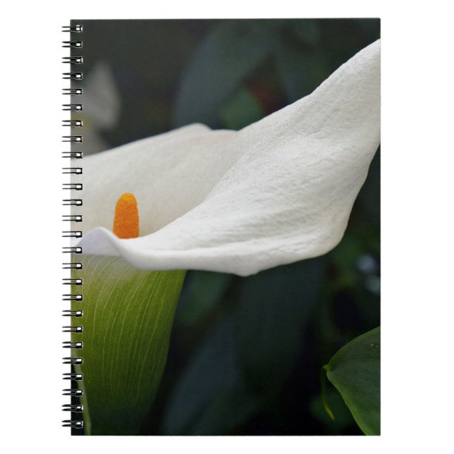 Calla Lily.JPG Notebook (Front)