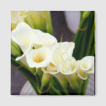 calla lily magnet<br><div class="desc">white flowers of calla lilies in bloom to personalise</div>