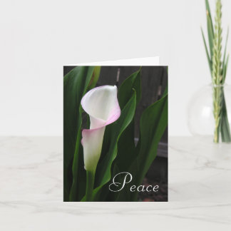Calla Lily Note Cards