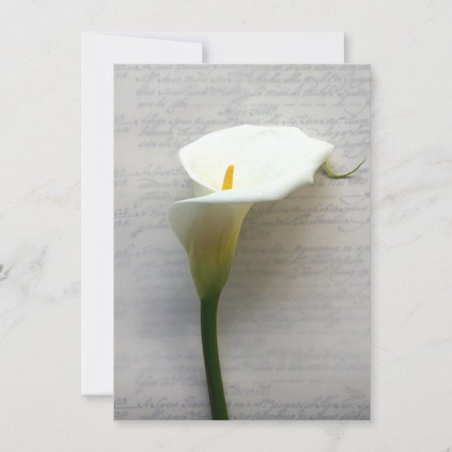 calla lily on old handwriting invitation (Front)