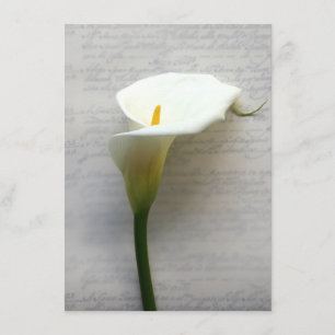 calla lily on old handwriting invitation