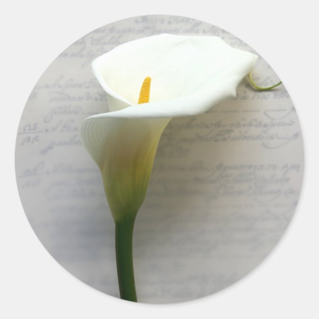 calla lily on old handwriting round stickers (Front)
