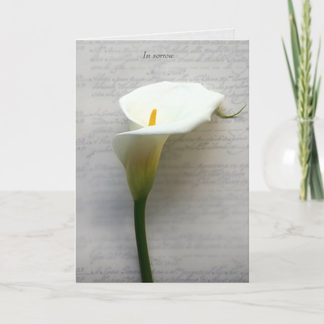 Calla lily on old handwriting sympathy holiday card (Front)