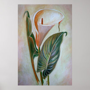 Calla Lily Poster