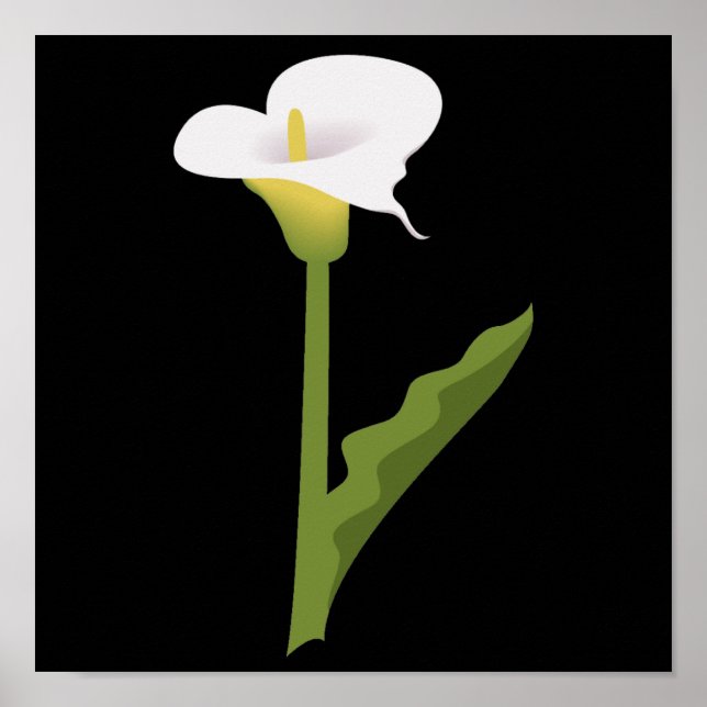 CALLA LILY POSTER (Front)