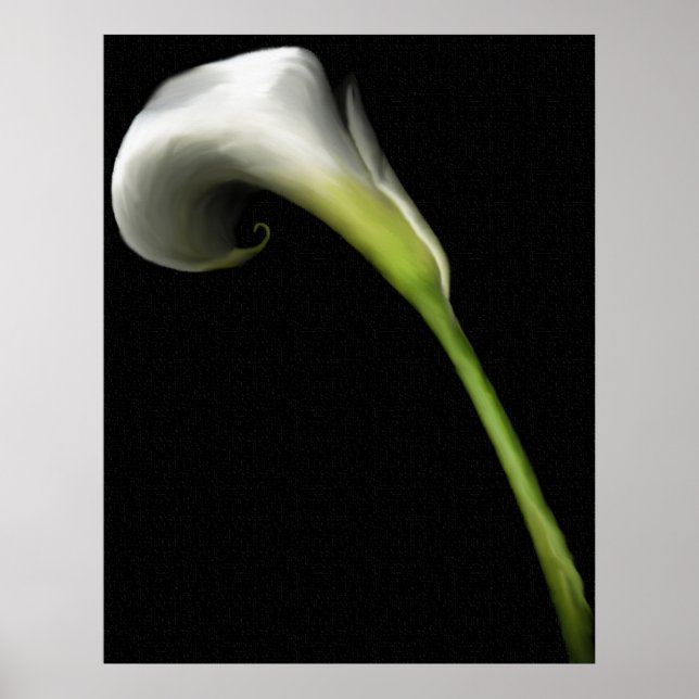 Calla Lily Prints (Front)