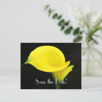 Calla Lily Save the Date Postcard