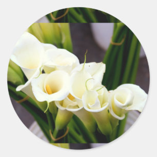 calla lily sticker