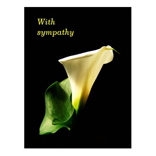 Calla Lily Sympathy Post Card | Zazzle