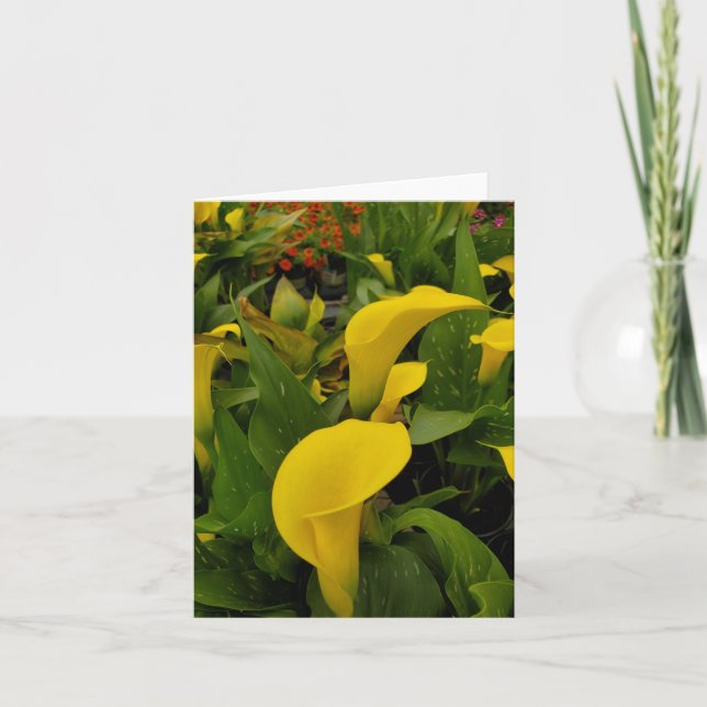 Calla lily thank you card (Front)