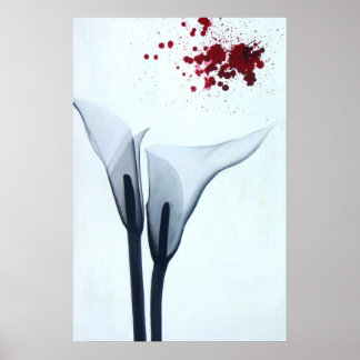 Calla Lily X-ray Poster