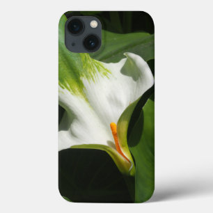 Calla Lily, Zantedeschia iPhone 13 Case