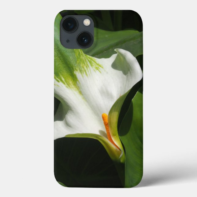 Calla Lily, Zantedeschia Case-Mate iPhone Case (Back)