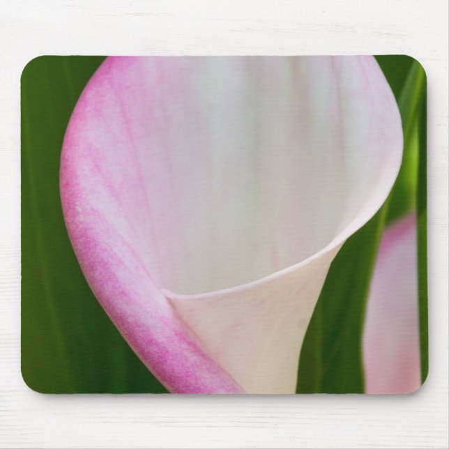 Calla Pano Mouse Mat (Front)