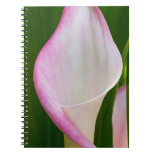 Calla Pano Notebook