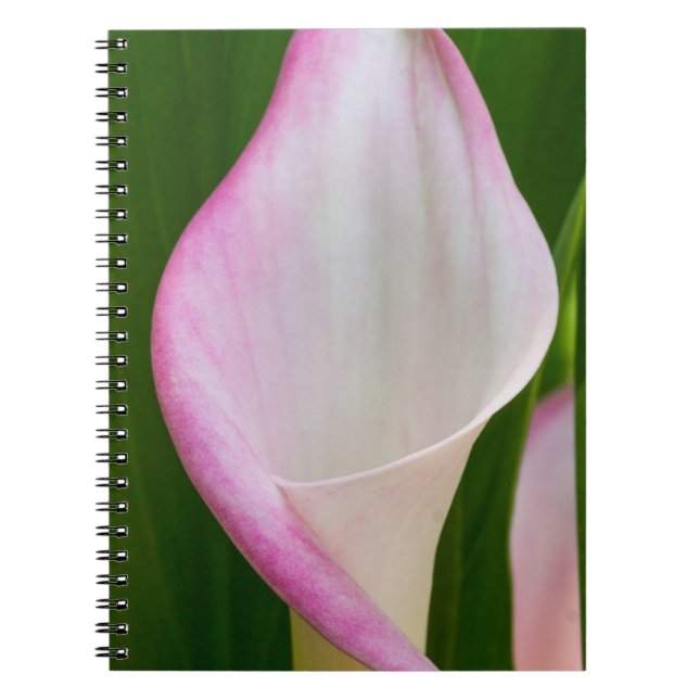 Calla Pano Notebook (Front)