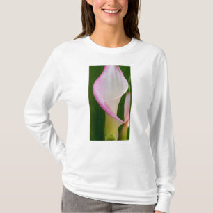 Calla Pano T-Shirt